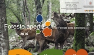 Foreste Aperte 2010 Settefratelli 